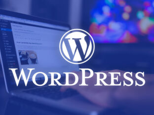 Comprendre WordPress