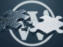 Résoudre les conflits de plugins WordPress efficacement